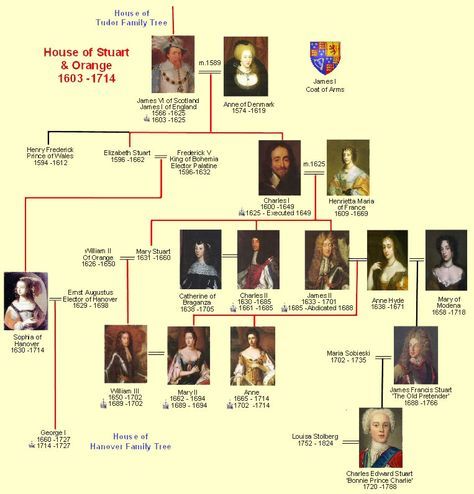 The Stuart dynasty reigned in England and Scotland from 1603 to 1714, a period which saw a flourishing Court culture but also much upheaval and instability, of plague, fire and war. It was an age of intense religious debate and radical politics. Both contributed to a bloody civil war in the mid-seventeenth century between Crown and Parliament (the Cavaliers and the Roundheads), Family Tree House, House Of Stuart, Royal Family Trees, Scottish Ancestry, James Scott, Charles Ii, English History, Family Genealogy, England And Scotland