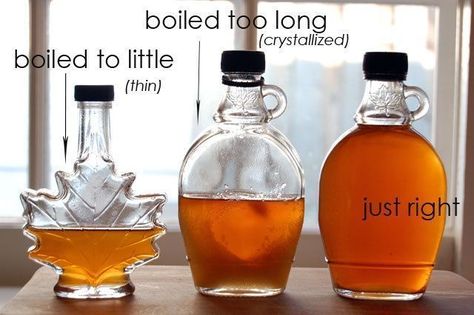 A DIY guide to making maple syrup! Homesteader Recipes, Diy Maple Syrup, Maple Tapping, Tapping Maple Trees, Homemade Maple Syrup, Maple Glazed Salmon, Sweet Sauces, Maple Syrup Recipes, Syrup Recipes