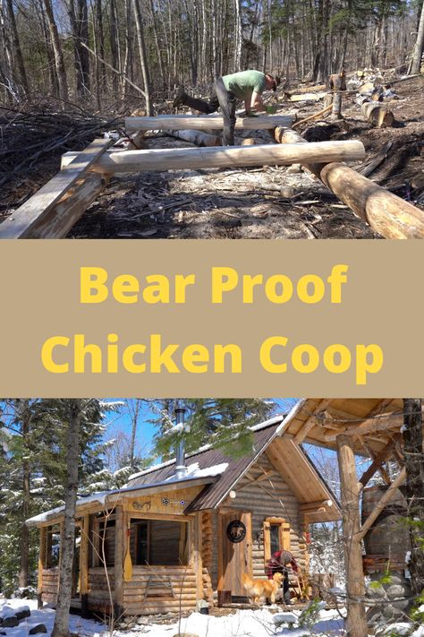 Log Cabin Chicken Coop, Bear Proof Chicken Coop, Log Chicken Coop, Mountain Chicken, Chicken Coop Build, Chicken Coop Diy, Bear And Wolf, Off The Grid Living, Duck Houses