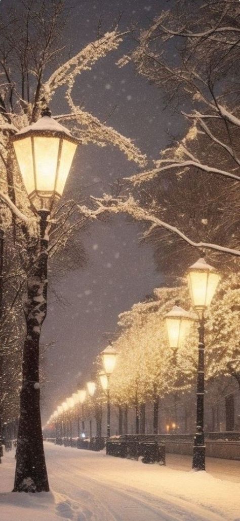 Snowy Streets At Night, French Winter Aesthetic, Cozy Winter Night Aesthetic, Winter Evening Aesthetic, Snowy Aesthetic Wallpaper, Winter Vibes Wallpaper, Animal Expressions, Winter Wonderland Wallpaper, Winter Lights