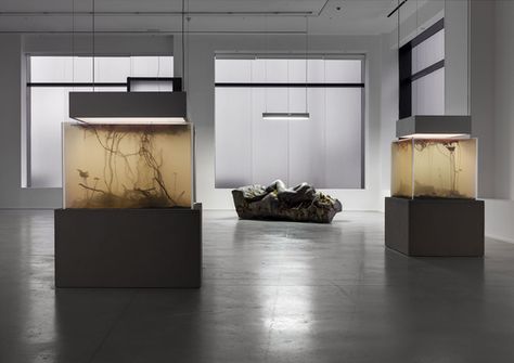 Pierre Huyghe | In Border Deep | 2014 | Hauser & Wirth | London, United Kingdom Architectural Installation, Scifi Design, Pierre Huyghe, Kyoto Art, Appropriation Art, Sculpture Inspiration, Bio Art, Contemporary Art Daily, New Media Art