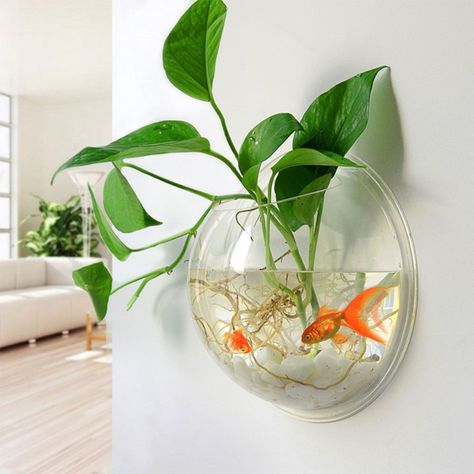 The Best Wall Decor Is a Fishless Fishbowl Fishbowl Ideas, Baby Betta Fish, Fish Bowl Aquarium, Round Fish Tank, Bowl Aquarium, Acrylic Aquarium, Fish Tank Stand, Betta Aquarium, Hanging Terrarium