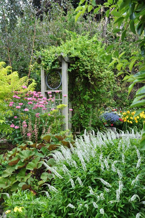 Three Dogs in a Garden: A Small Garden with a Pretty Pond Landscape Tips, Invasive Plants, Country Gardens, Three Dogs, Charming Garden, Cottage Gardens, My Secret Garden, Chelsea Flower Show, Flower Gardens