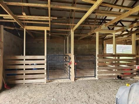 How To Build A Horse Stall, Horse Stall Ideas Cheap, Horse Stalls Cheap, Easy Horse Stalls, Simple Horse Barns, Small Horse Barns, Barn Layout, Livestock Shelter, Horse Farm Ideas