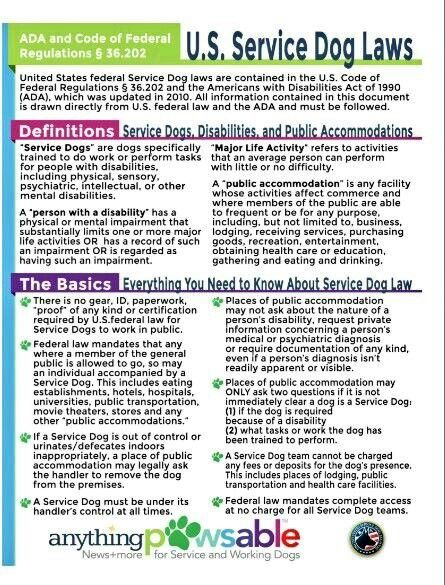 ADA Laws, Service Dogs, Therapy Dogs and Emotional Support Dogs. There ARE differences with regard to PUBLIC ACCESS, ETC.!! Psychiatric Service Dog Training, Service Dog Training Checklist, Psychiatric Service Dog, Psychiatric Services, Service Dogs Gear, Service Dog Training, Emotional Support Dog, Emotional Support Animal, Assistance Dog