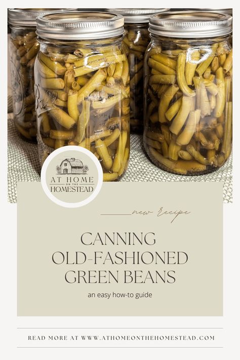 Canning green beans the old-fashioned way is easier than you might think. Learn how to preserve this simple side dish for your own pantry! Canning Green Beans, Canning Beans, Pressure Canning Recipes, Canning Fruit, Canning Vegetables, Can Green Beans, Canned Food Storage, Canning Tips, Pressure Canner