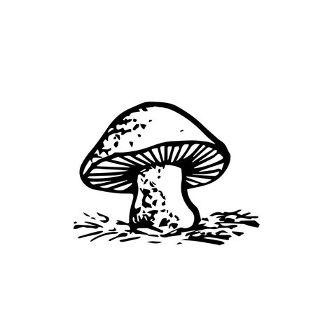 Lydia Cosplay, Mushroom Image, Mushroom Icon, Mushroom Images, Tree Mushrooms, Home Icon, Vector Png, Free Png, Free Image