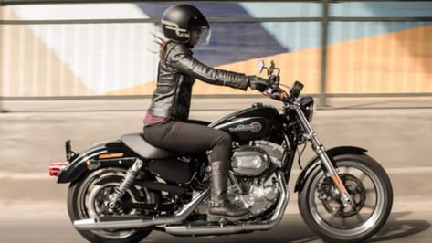 Top 5 Harley-Davidson motorcycles for women riders | NewsBytes Softail Bobber, Harley Davidson Images, Women Riders, Sportster Motorcycle, Harley Davidson Sportster 883, Harley Davidson Sportster 1200, Softail Custom, Harley Davidson Softail, Motorcycle T Shirt