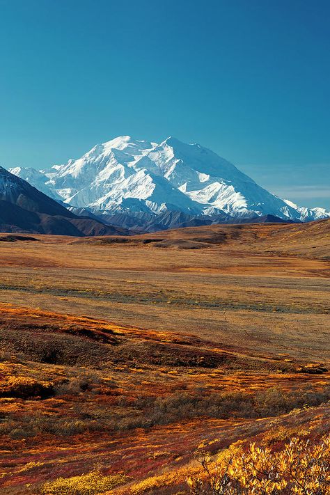 Tundra Landscape, Tundra Biome, Alpine Tundra, Alaskan Wilderness, National Park Art, Bring Nature Indoors, Landscape Concept, Denali National Park, Scenery Pictures