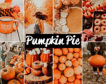 Fall Presets, Shooting In Raw, Pie Pumpkin, Photoshop Presets, Instagram Presets, Blogger Photos, Adobe Lightroom Cc, Bountiful Harvest, Lightroom Mobile Presets