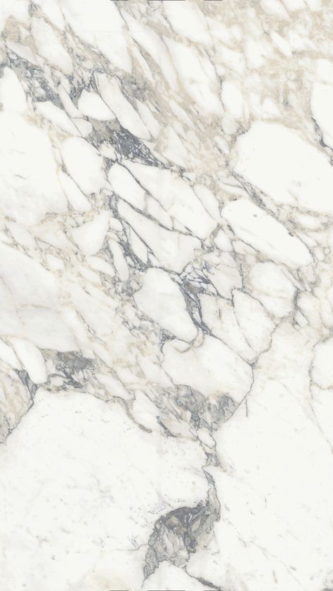 Veiny Marble Countertops, Light Marble Countertops, Sapienstone Countertops, Arabescato Kitchen, Marble Worktop Kitchen, Arabescato Marble Kitchen, Countertop Texture, Calacatta Arabescato, Marble For Kitchen