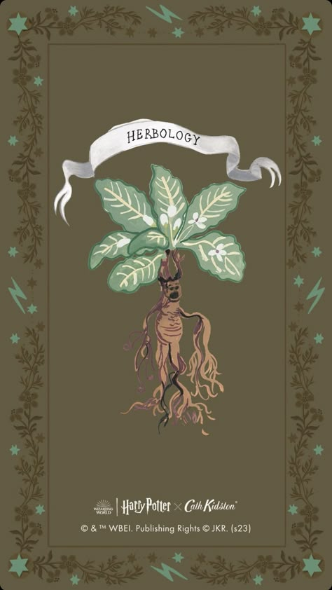 Hogwarts Legacy Aesthetic Hufflepuff, Herbology Aesthetic Wallpaper, Herbology Wallpaper, Harry Potter Wallpaper Backgrounds, Harry Potter Christmas Ornaments, Imprimibles Harry Potter, Harry Potter Charms, Harry Potter Background, Harry Potter Illustrations