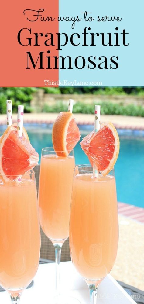 Grapefruit Mimosas are one of the most festive and refreshing drinks to make. Try these serving ideas with fresh fruit and herb garnishes. #mimosarecipe #mimosaservingideas #grapefruitmimosarecipe #cocktail #grapefruitcocktail Grapefruit Mimosa, Drinks To Make, Frozen Drink Recipes, Grapefruit Cocktail, Frozen Cocktail Recipes, Special Drinks, Serving Ideas, Mimosa Recipe, Keto Drinks