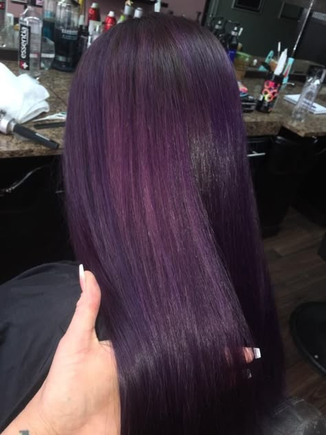 Purple And Black Ombre Hair, Purple On Brunette Hair, Full Purple Hair, Purple Hair Over Brown, Purple Hair Plum, Blue Toned Purple Hair, Dark Color Hair Dye, Purple Dye On Black Hair, Dark Plum Purple Hair