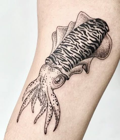 Cuttlefish Tattoo, Tattoo Dino, Cephalopod Tattoo, Sea Tattoo Sleeve, Biology Tattoo, Aquatic Tattoo, Squid Tattoo, Minimal Tattoo Ideas, Funky Tattoos