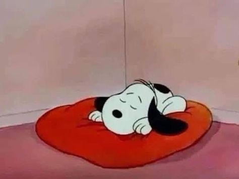 « No one can like to sleep this much. » #snoopy Silly Snoopy, Charlie Brown Dog, Snoopy Sleeping, Animated Movies For Kids, Peanuts Charlie Brown Snoopy, Baby Snoopy, Snoopy Funny, Snoopy Images, Snoopy Wallpaper