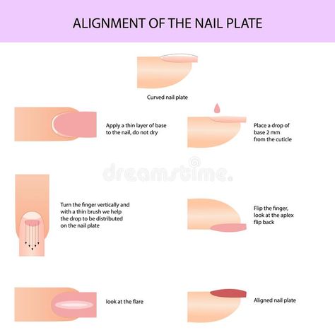 Alignment of the nail plate. Professional manicure guide, Vector illustration, infographics. Alignment of the nail plate. Professional manicure guide, Vector stock illustration Nail Knowledge, Nail Theory, Nail Education, Printable Nail Art, Beautician Course, Nails Training, Nail Tech School, Manicure Tutorials, Nail Courses