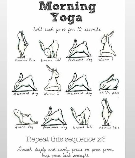 Yoga Healers on Instagram: “Yoga tips 😇💙 . . 🧚‍♂️ @yoga_healers  Don't forget to follow us 😇 🙏...be healthy,be fit be gorgeous 💙” Bunny Yoga, Yoga Foto's, Yoga Positionen, Motivasi Diet, Yoga Ashtanga, Poses For Beginners, Body Transformations, Sup Yoga, Killer Workouts