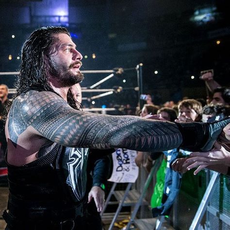 #romanreigns #leakee #joeanoai Roman Reigns Shield, Shield Wwe, The Shield Wwe, Daily Pictures, Roman Reigns, Roman Empire, Big Dogs, Reign, Wwe