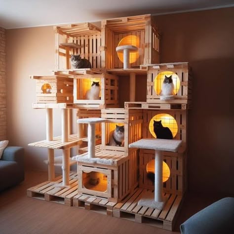 Cat Room Diy, Diy Cat Shelves, Pets Furniture, Cat Room Decor, Cardboard Cat House, Cat Bedroom, Wooden Cat House, An Organized Home, Cat Patio