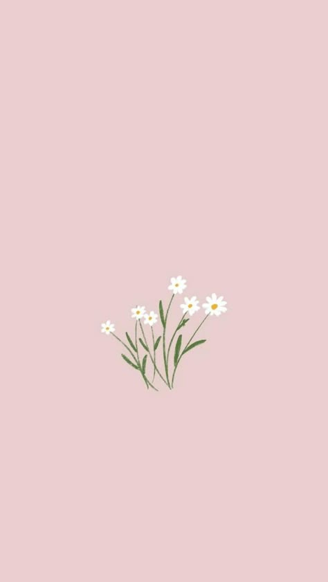 Pink Daisy Wallpaper, Cute Flower Drawing, Wallpapers Pink, Wallpapers Cute, Pink Flowers Wallpaper, Floral Wallpaper Iphone, Daisy Wallpaper, Flowers Drawing, Flower Wallpapers