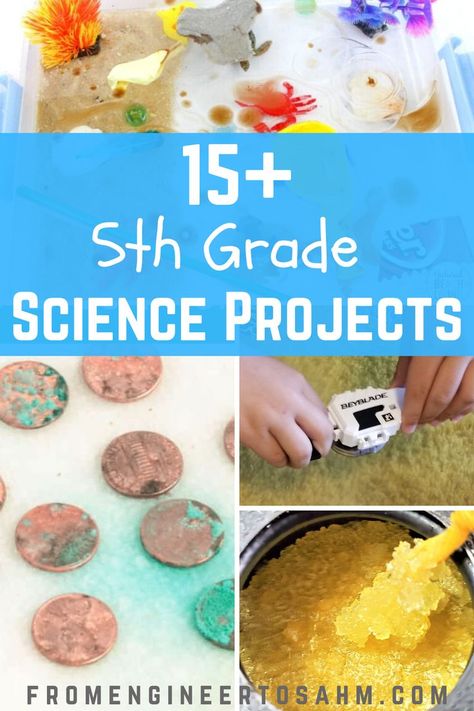 15+ Science Projects for 5th Grade! - From Engineer to Stay at Home Mom 1st Grade Science Fair, 4th Grade Science Experiments, First Grade Science Projects, 5th Grade Science Projects, Homeschool Science Experiments, 1st Grade Activities, 1st Grade Science, First Grade Science, 4th Grade Science