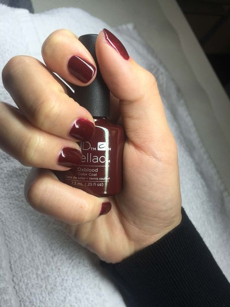 Cnd Shellac Oxblood, Shellac Colours, Cnd Shellac Colors, Shellac Nail Colors, Shellac Nail Designs, Oxblood Color, Shellac Nail Polish, Cnd Shellac Nails, Classy Hair