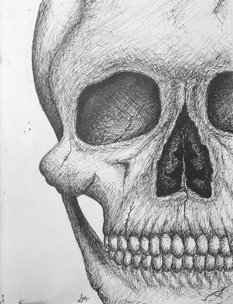 My Ink-Tober Sketch of a skull using hatching and cross-hatching. Sketch Cross Hatching, Cross Hatching Art, Cross Hatching Drawing, Ink Tober, Hatch Drawing, Idea Paint, Anatomy Studies, Female Face Drawing, Life Drawing Reference