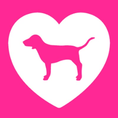 VSPINK Mcbling Widgets, Mcbling Wallpaper, 2000s Wallpaper, Vs Pink Dog, Vs Pink Nation, Trashy Mcbling, 2000s Pink, Pink Wallpapers, Mcbling Y2k