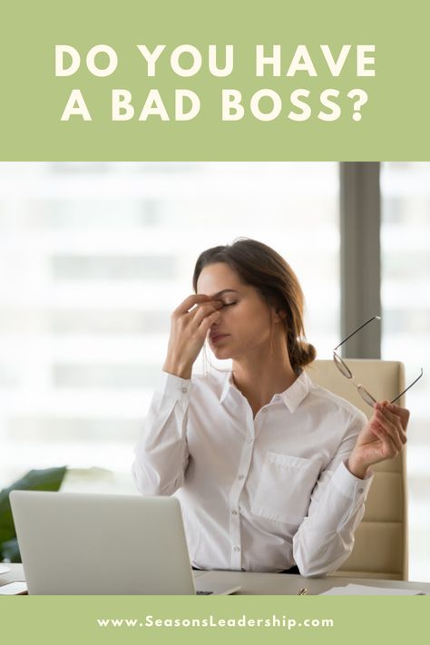 Bad bosses are a part of life, but they don't have to ruin your day or your career. Click to get our FREE lesson on how to improve your relationship with your bad boss to grow your career! Loss Of Appetite Causes, Good Food Habits, Causes Of Fatigue, Easy Self Care, Loss Of Appetite, Good Boss, Bad Boss, Feeling Fatigued, Improve Your Relationship