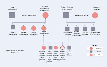 Whitfield Genogram Genogram Example, Genogram Template, Family Tree Template, Family Tree, Quick Saves