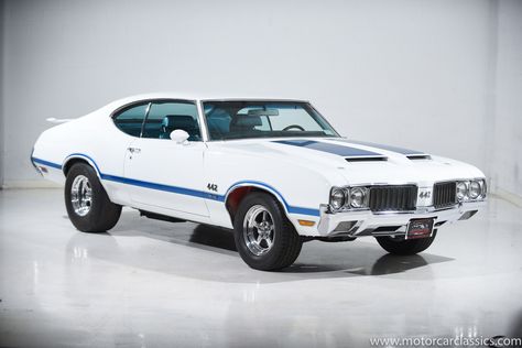 Olds 442, Cool Old Cars, Hummer Cars, Oldsmobile 442, Luxury Car Dealership, Vintage Muscle Cars, Vintage Muscle, Garage Art, Cars Luxury