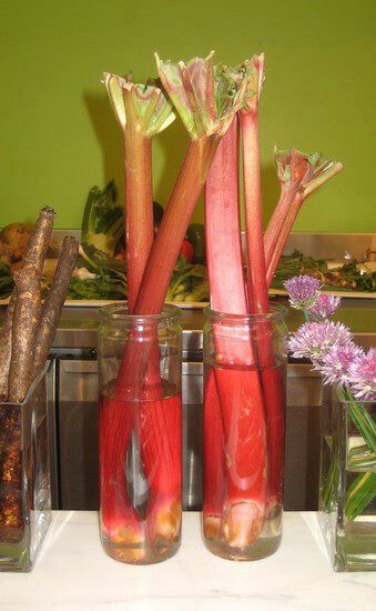 . Growing Rhubarb, Rhubarb Plants, Garden Veggies, Homestead Survival, Rhubarb Recipes, Growing Fruit, Food Garden, Fruit Garden, Veggie Garden