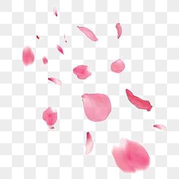 Wedding Clipart Free, Rose Petals Falling, Petals Falling, Valentines Day Border, Flower Border Clipart, Pink Flowers Background, Valentine's Day Poster, Valentines Illustration, Rosé Png