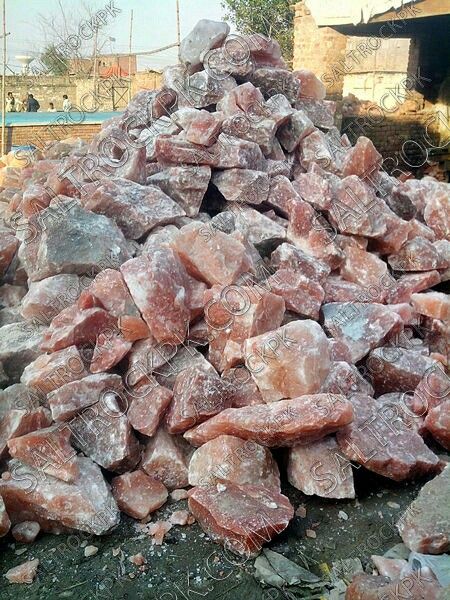 Salt licks blocks Www.saltrockpk.com  #cattlefeedtroughs #cattlefeeding #deermineralblock Himalayan Rock Salt Lamp, Salt Rock Lamp, Salt Lick, Himalayan Rock Salt, Smell Of Rain, Asian Homes, Salt Lamps, Rock Salt, Himalayan Salt