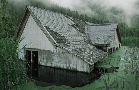 Ghost Town (2015) - Kyle Thompson Kyle Thompson, Flooded House, Ghost House, American Gothic, Southern Gothic, Surrealism Photography, Ghost Town, Ghost Towns, Abandoned Houses