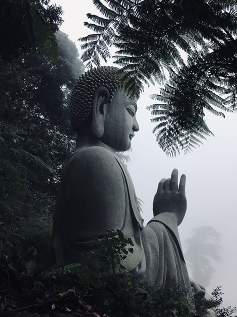 #buddhism #buddhastatue #niroshasha #photography Aesthetic Buddha, Nirvana Buddhism, Buddha Aesthetic, Zen Aesthetic, Guided Meditation Scripts, Spiritual Photos, Meditation Scripts, Mindfulness Training, Buddhist Philosophy