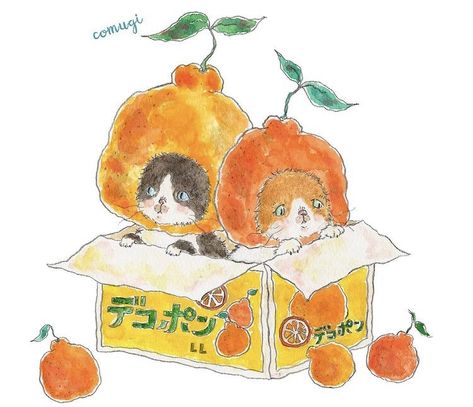 Cute Orange Drawing, Orange Art Aesthetic, Orange Cute Aesthetic, Cute Orange Aesthetic, Orange Aesthetic Icon, Orange Moodboard, Orange Drawing, Orange Icon, Orange Illustration