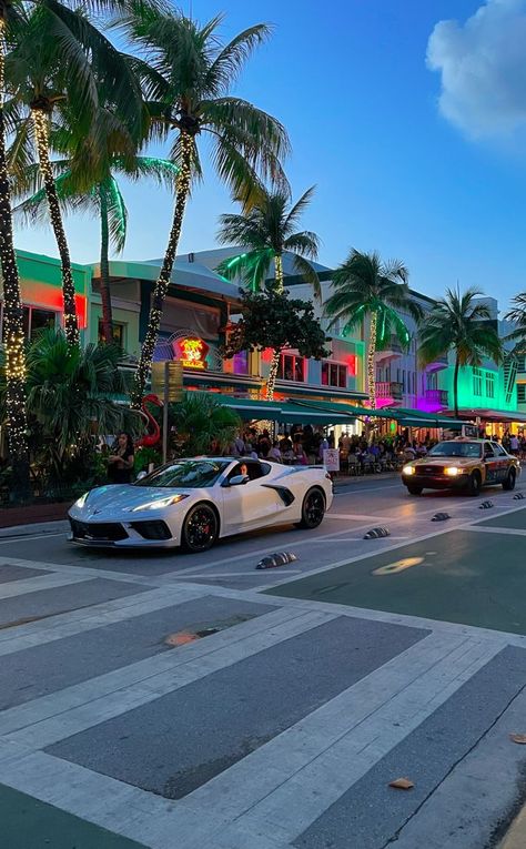 When visiting Florida, a lovely area to explore is Ocean Drive near Miami Beach. 
Tips: bring your own bike or rent one of the citybike to enjoy a good ride on that street. Ocean Drive Miami, Locksmith Services, Ocean Drive, Classy Jewelry, Miami, Travel