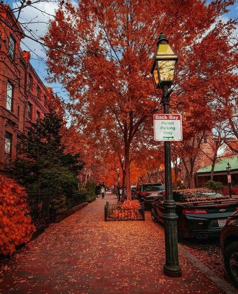 Boston Nightlife, Boston Massachusetts Photography, Back Bay Boston, Boston Street, Boston Photography, Dog Model, Visiting Boston, Dark Fall, Autumnal Equinox