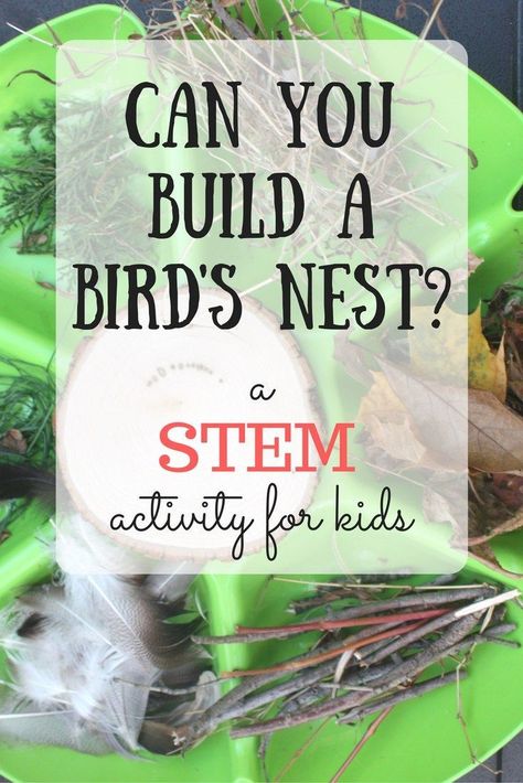 Can you build a nest? This STEM challenge for kids gets kids thinking creatively and applying imagination to science! Elementary School Invention Projects, Habitat Stem Activities, Animal Engineering Projects, Loose Parts Science Preschool, Animal Themed Science Experiments, Animal Habitats Junior Badge Ideas, Junior Animal Habitats Badge, Animal Steam Activities, Animal Habitats Activities For Kids