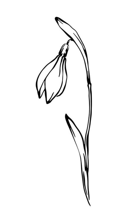 Snowdrop half opened flower outline ink drawing vector elegant line art spring floral element on white background Snowdrop Line Drawing, Snowdrop Outline, Half Flower Drawing, Snowdrop Drawing, Floral Outline Drawing, Snowdrop Flower Tattoo, Snowdrop Flower, Window Mural, Single Line Tattoo