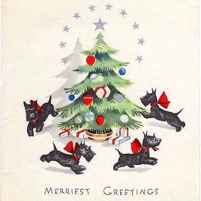 Christmas is less than 2 weeks away. We are wishing all our Scottie and other doggy friends and their parents a very happy festive season. 🎄🎊🎉 Christmas Scottie Dog, Scottie Dog Christmas, Card Ornaments, Dogs Running, Images Noêl Vintages, Deco Christmas, Dogs Playing, Vintage Holiday Cards, Xmas Greeting Cards