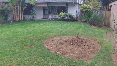 Planting Grass After Stump Grinding Tree Root Removal, Tree Stump Ideas, Stump Ideas, Stump Grinding, Planting Grass, Stump Removal, Growing Grass, Lawn Service, Video Garden