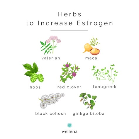 Boost Estrogen, Increase Estrogen, Hormone Nutrition, Low Estrogen Symptoms, دورة شهرية, Too Much Estrogen, Healthy Living Motivation, Bioidentical Hormones, Low Estrogen