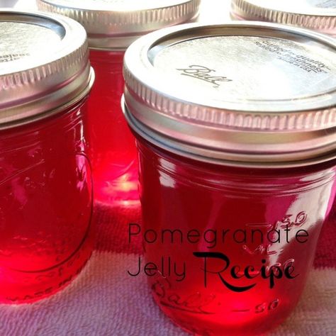 17 Homemade Edible Gifts for Giving Pomegranate Jelly, Pomegranate Recipes, Jelly Recipe, Fruit Preserves, Jam And Jelly, Jelly Recipes, Onion Recipes, Edible Gifts, Homemade Bath Products