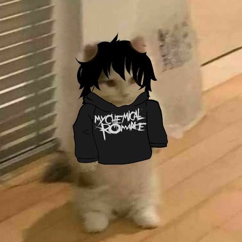 Emo Cat, My Chemical, My Chemical Romance, Profile Picture, Hello Kitty, Romance, Kitty, Wallpapers, Funny