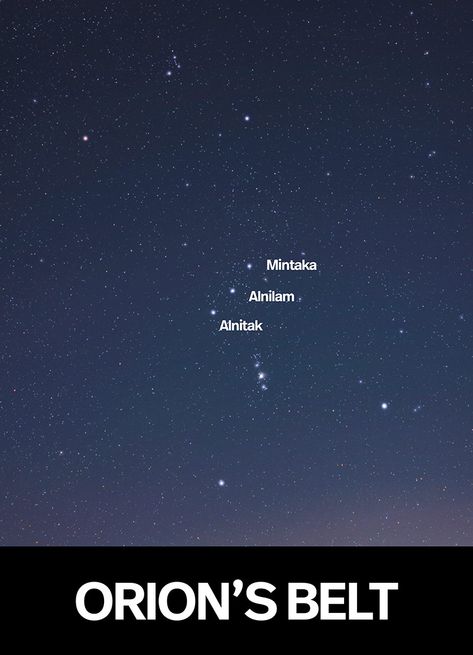 Orion's Belt | 3 Bright Stars in Orion | Pictures, Location, and Facts Orion Belt Constellation, Orion’s Belt, Mintaka Star Seed, Constellation Costume, Orions Belt Tattoo, Orion Star Constellation, Orion Starseed, Star Navigation, Orions Belt Constellation