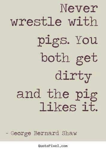 Pig Wrestling Funny Life Quotes, George Bernard Shaw Quotes, Quotes Humor, George Bernard Shaw, Bernard Shaw, Funny Life, Life Quotes To Live By, Funny Quotes About Life, Hozier