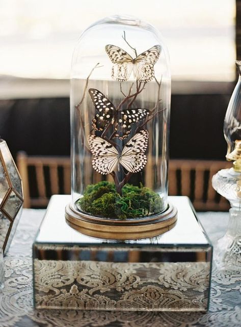 Glass Dome Decor Ideas Centerpieces, Glass Cloche Ideas, Glass Dome Centerpiece, Cloche Decor Ideas, Butterfly Cloche, Cloche Centerpiece, Butterfly Dome, Tree Wedding Centerpieces, Butterfly Wedding Theme